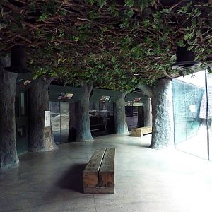 Mississippi Wilderness - Water Creatures Building