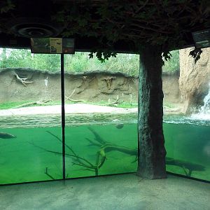 Mississippi Wilderness - River Otter Exhibit