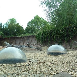 Mississippi Wilderness - Beaver Exhibit