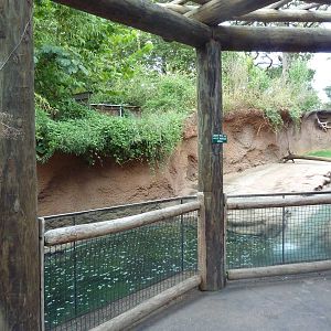 Mississippi Wilderness - River Otter Exhibit