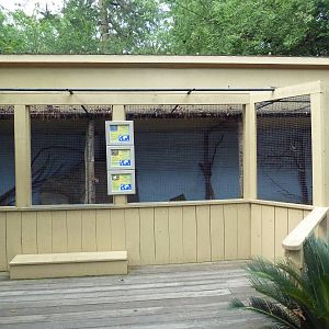 Mixed-Species Exhibit (3 Species)