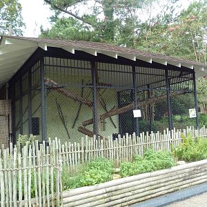 Amur Leopard Exhibit
