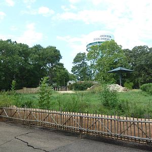 White Rhino Exhibit (former elephant yard)
