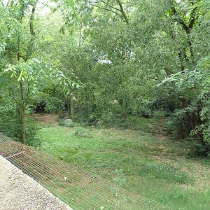 Red Wolf Exhibit (former cheetah yard)