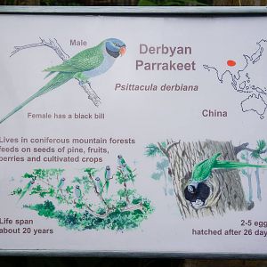 Spot the Mistake - 04/09/2012