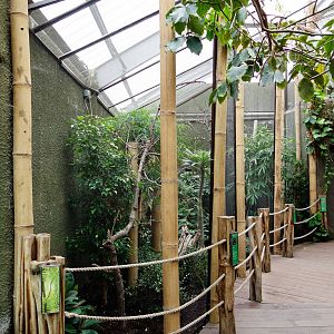 Refurbished Aviary - 04/09/2012