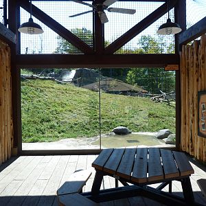 Lion Exhibit (A Step Into Africa) 9-2-12