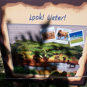 Watering Hole Sign: A Step Into Africa 9-2-12