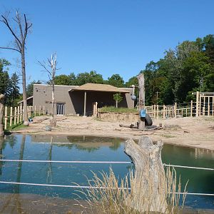 Elephant Exhibit: A Step Into Africa 9-2-12