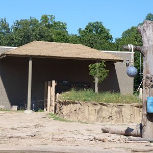 Elephant Exhibit: A Step Into Africa 9-2-12