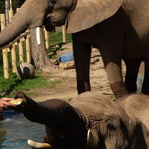 Genny C. and Lilac 9-2-12