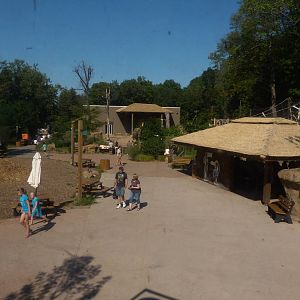 Back Part of A Step Into Africa 9-2-12