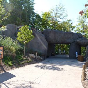 Kopje: A Step Into Africa