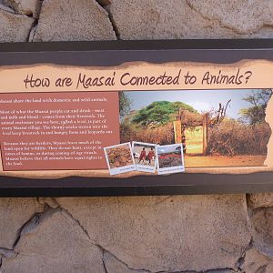 Sign: A Step Into Africa