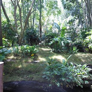 Disney's Animal Kingdom- Oasis- Exhibit