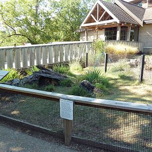 Leopard Tortoise Exhibit + Reptile House