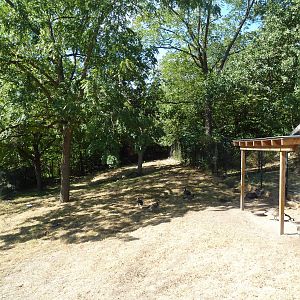 Western Tufted Deer Exhibit