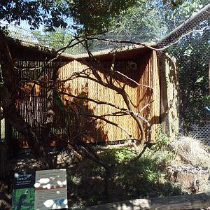 White-Crested Turaco Exhibit