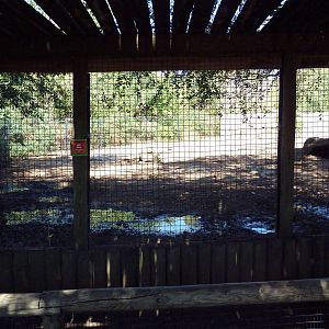 Warthog Exhibit
