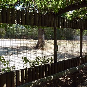 Damara Zebra Exhibit
