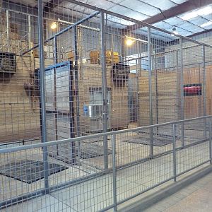 Baringo Giraffe Exhibit - Barn