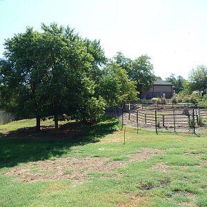 Bongo/Crowned Crane Exhibit