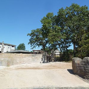 Asian Elephant Exhibit