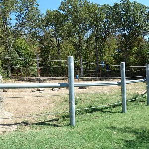 Asian Elephant Exhibit