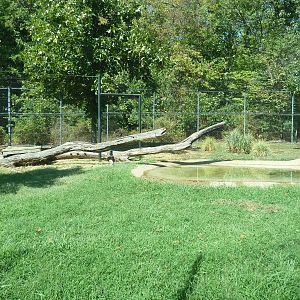 Malayan Tiger Exhibit
