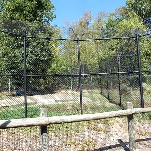 Malayan Tiger Exhibit