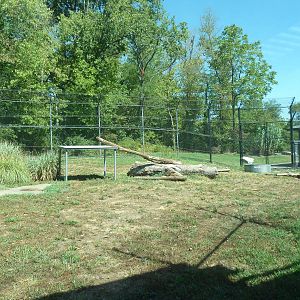Malayan Tiger Exhibit (there are 2 tiger exhibits in the complex)