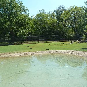 White-Tailed Deer Exhibit