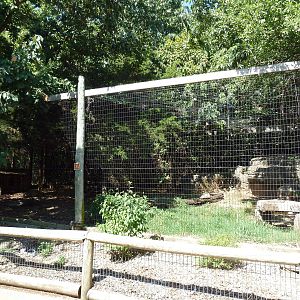 Bobcat Exhibit