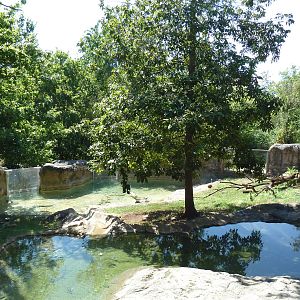 River Otter Exhibit (Outstanding!)