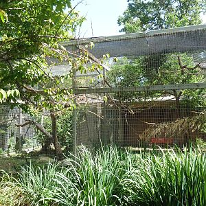 Scarlet Macaw + Squirrel Monkey Exhibits
