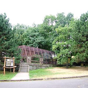 Lynx Enclosure View at Chomutov, 30/08/12