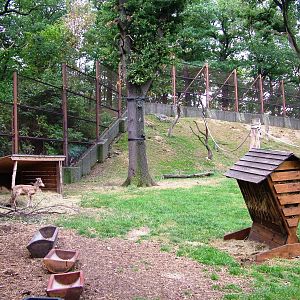 Macaque/Sheep Exhibit at Chomutov, 30/08/12