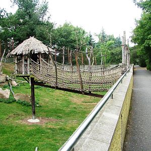 Macaque/Sheep Exhibit at Chomutov, 30/08/12