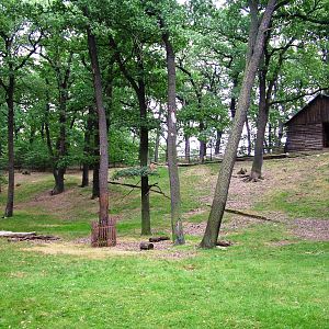 Golden Takin Exhibit at Chomutov, 30/08/12