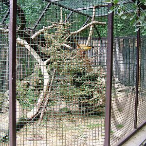 Marten Exhibit at Chomutov, 30/08/12