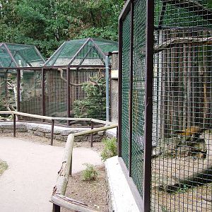 Mustelid Exhibits at Chomutov, 30/08/12