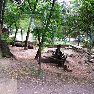 Wolf Exhibit at Chomutov, 30/08/12