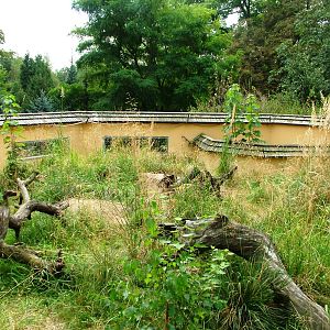 Marmot Exhibit at Chomutov, 30/08/12