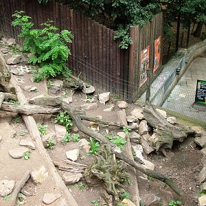 Badger Exhibit at Chomutov, 30/08/12
