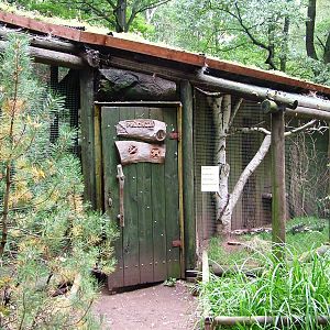 Walk-in Aviary at Chomutov, 30/08/12