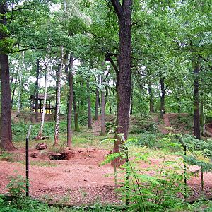 Bear Enclosure at Chomutov, 30/08/12