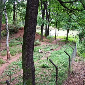 Bear Enclosure at Chomutov, 30/08/12