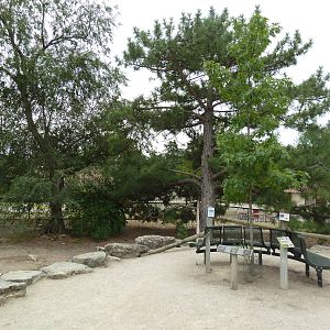 Walk-Through Prairie Dog/Turkey Vulture Exhibit