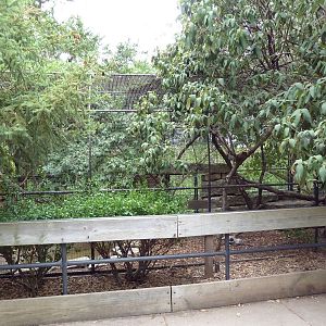 Turkey Vulture Exhibit