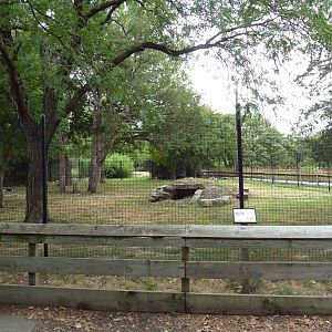 Maned Wolf/Giant Anteater Exhibit
